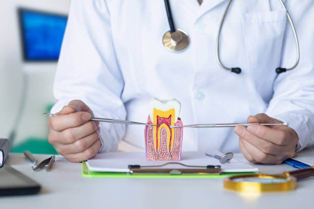 Professional Emergency Dental Service in GA